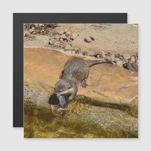 **"Fête de Pondside : Un Otter et son Catch"** (Devant / Derrière)