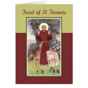 Fête de St. François, Animaux et Stigmates