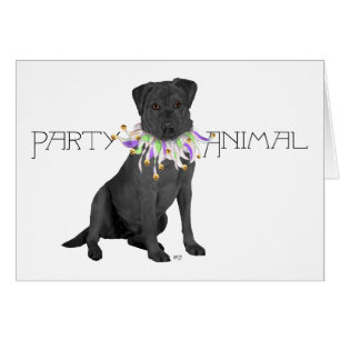 Fête des Retrievers Labrador Noirs