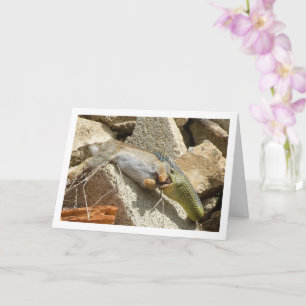 Fête du serpent de Montpellier sur carte de lapin