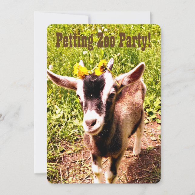 Fête du zoo de Paris ! Customisez cette invitation (Devant)