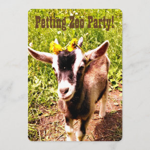 Fête du zoo de Paris ! Customisez cette invitation