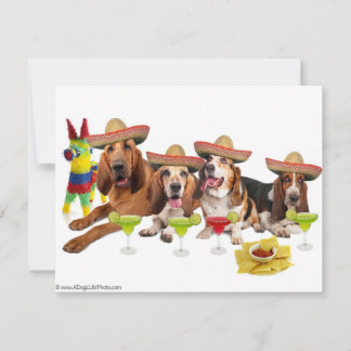 Fête mexicaine
