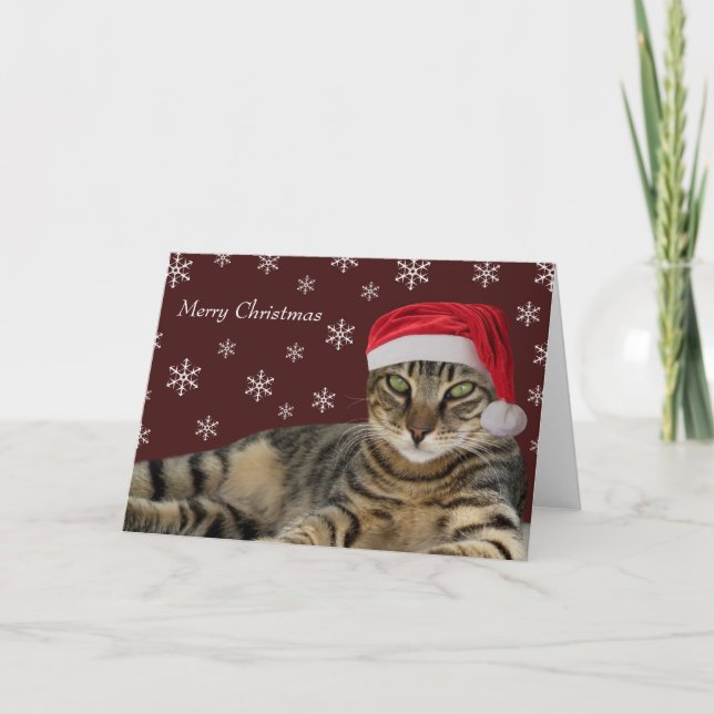 Fêtes Annuelles Cartes de Noël pour chats (Devant)