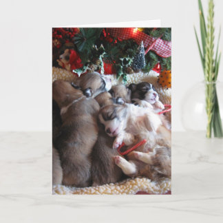 Fêtes Annuelles Cartes de Noël pour chiots et chiots de Corgi, un 