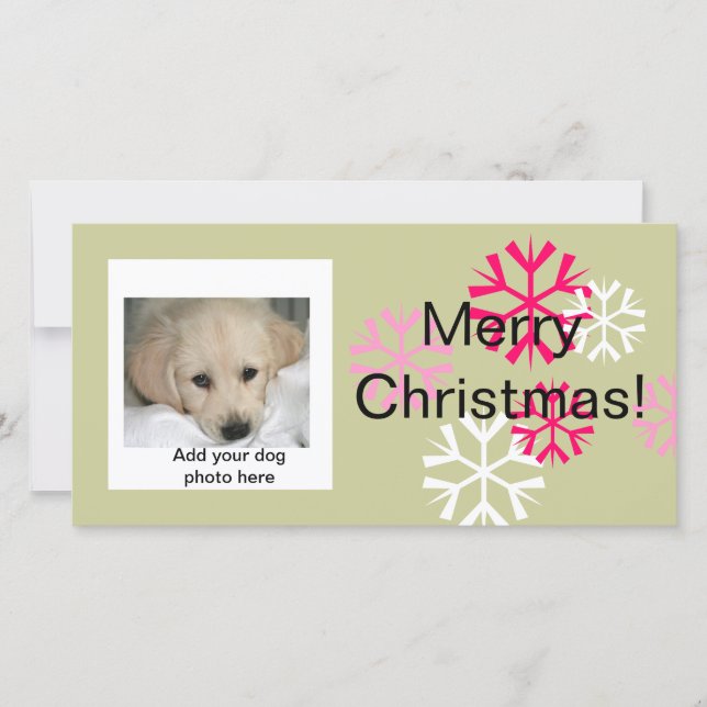 Fêtes Annuelles Cartes photos de Noël personnalisées pour chien ro (Devant)