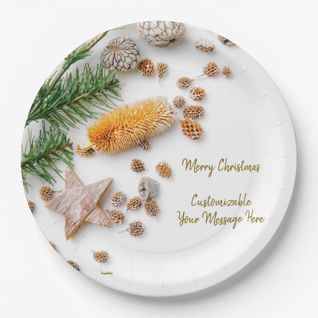 Fêtes assiettes en papier  (Devant)