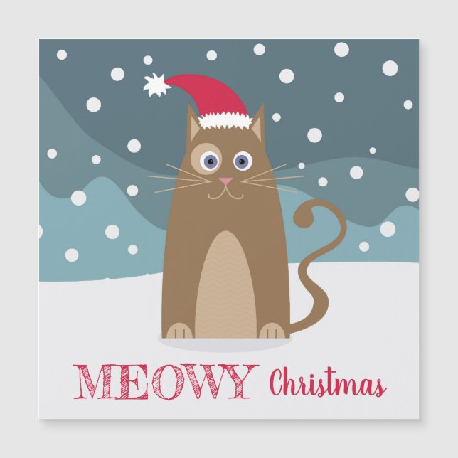 Fêtes de Noël d'hiver père Noël chat animal de com (Devant)