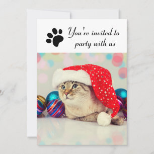 Fêtez avec nous Chat - Invitation à la fête de fin