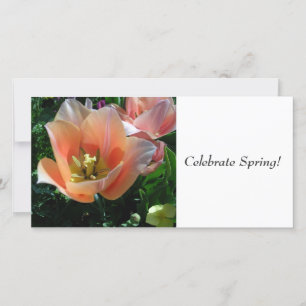 Fêtez le printemps !