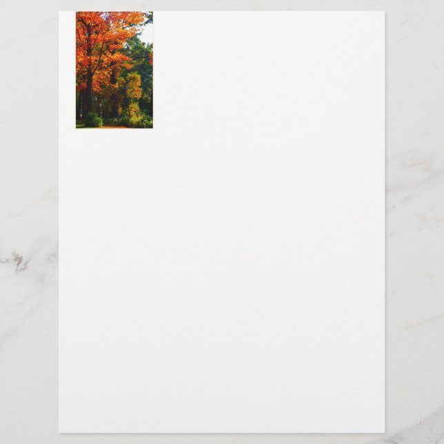 Feuillage d'automne (Devant)