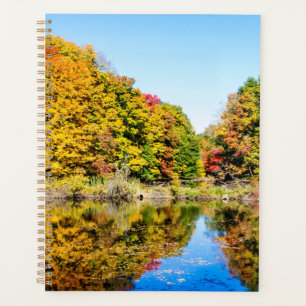 Feuillage d'automne 2024