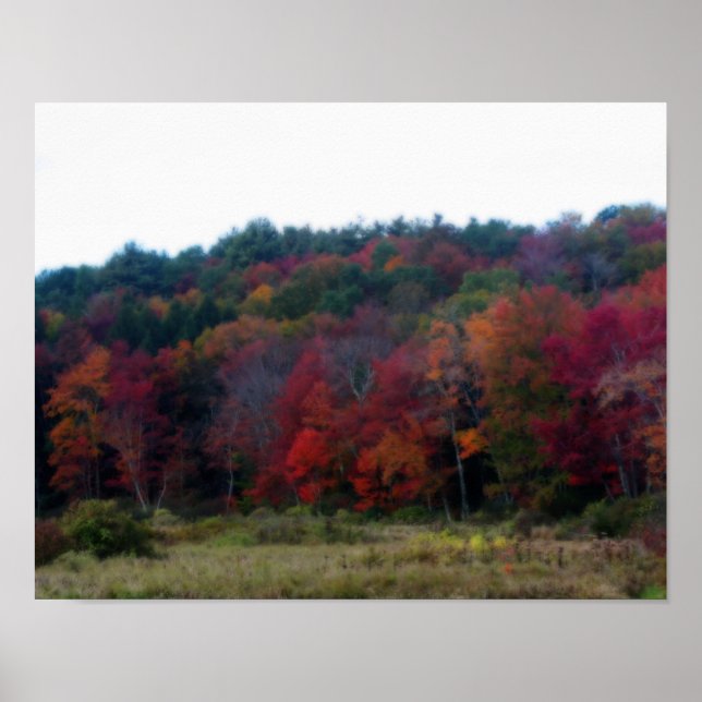 Feuillage d'automne dans Field Nature Poster (Devant)