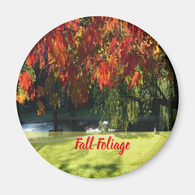 Feuillage d'automne de Boston Magnet (Devant)