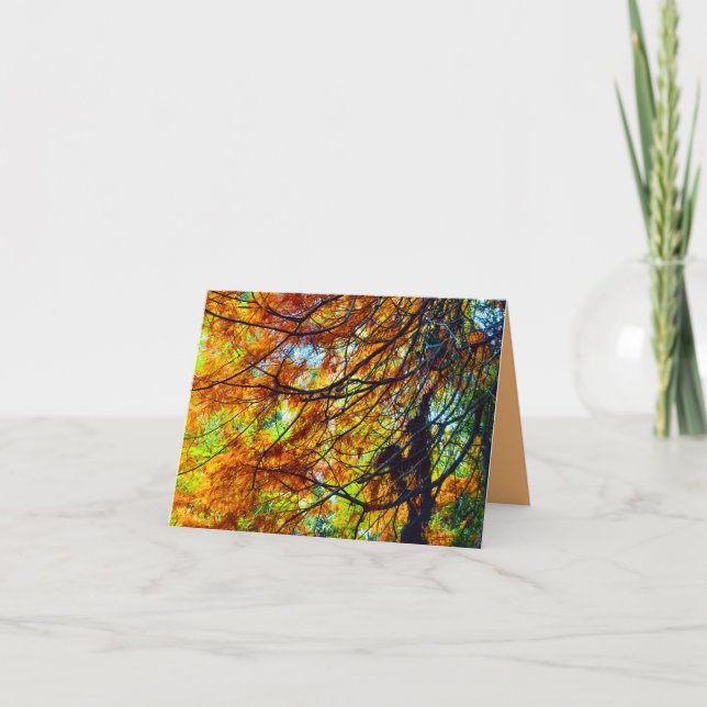 Feuillage d'automne et carte lumineuse (Devant)