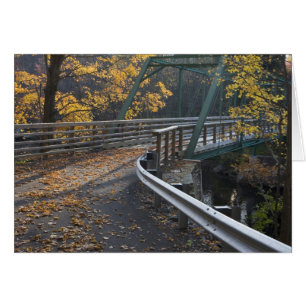 Feuillage d'automne et pont au-dessus des Millers