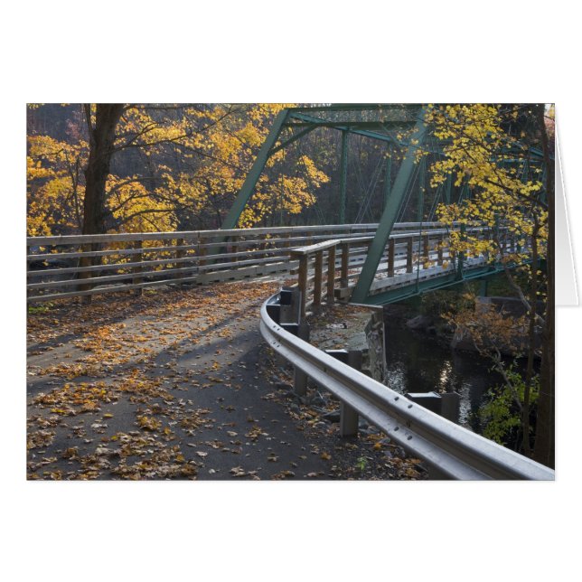 Feuillage d'automne et un pont sur les Millers (Devant horizontal)