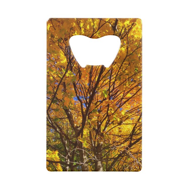Feuillage jaune d'automne (Devant)