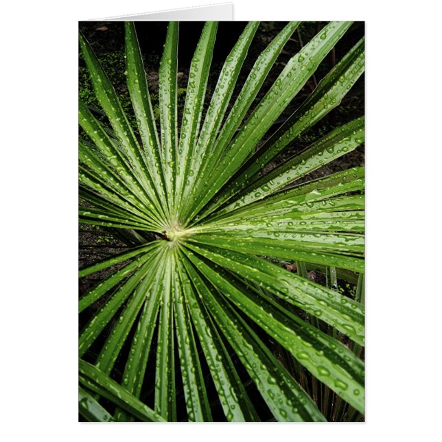 Feuille astrale (Devant)