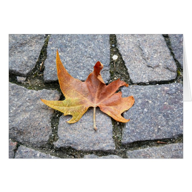 Feuille d'arbre du plan de Londres (Devant horizontal)