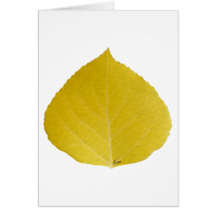 Feuille d'Aspen jaune #5