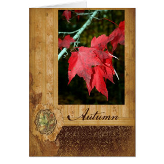 Feuille d'automne
