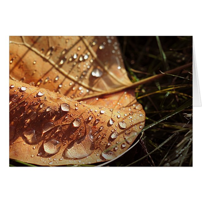 Feuille d'automne humide - Carte (Devant horizontal)