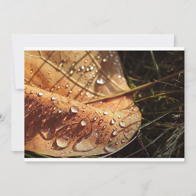 Feuille d'automne humide - Invitation (Devant)