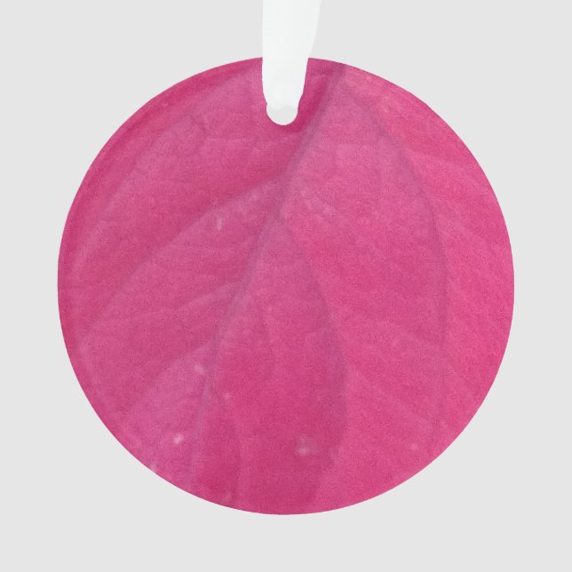 Feuille d'automne pourpre (devant)