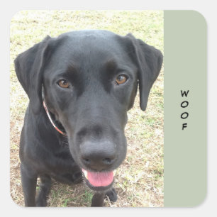 Feuille de 20 Stickers Woof Black Lab