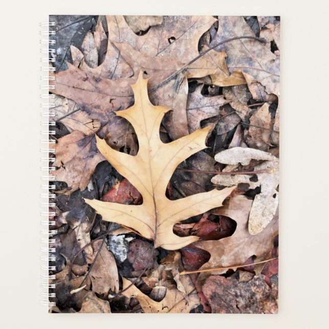 Feuille de chêne Lg Planner (Devant)