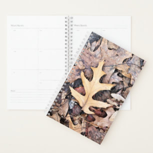 Feuille de chêne Sm Planner