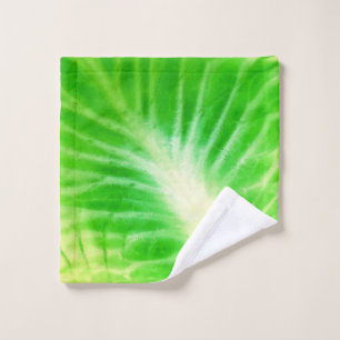 Feuille de choux