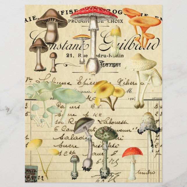 Feuille de collage de champignons vintage  (Devant)