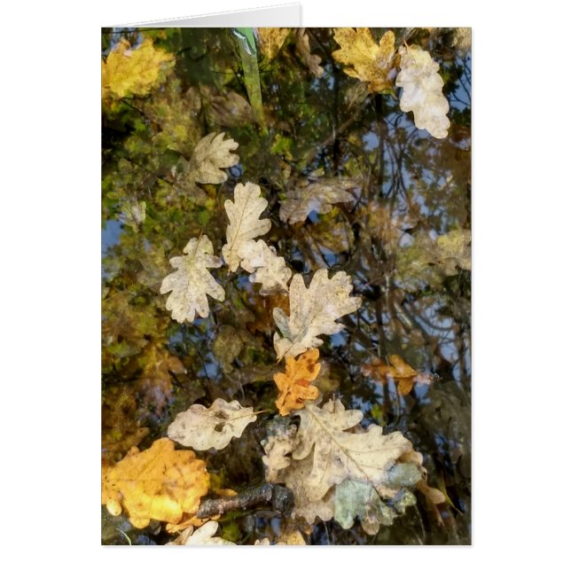 Feuille de Dublin (Devant)