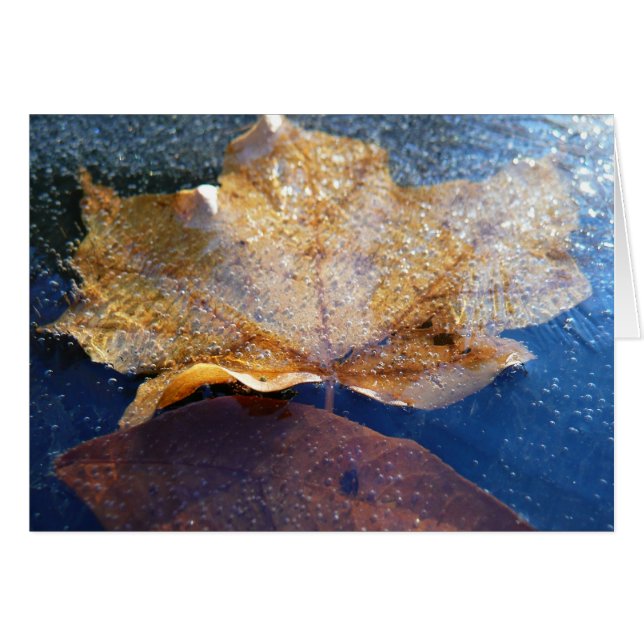 Feuille de érable jaune gelée Automne Nature (Devant horizontal)