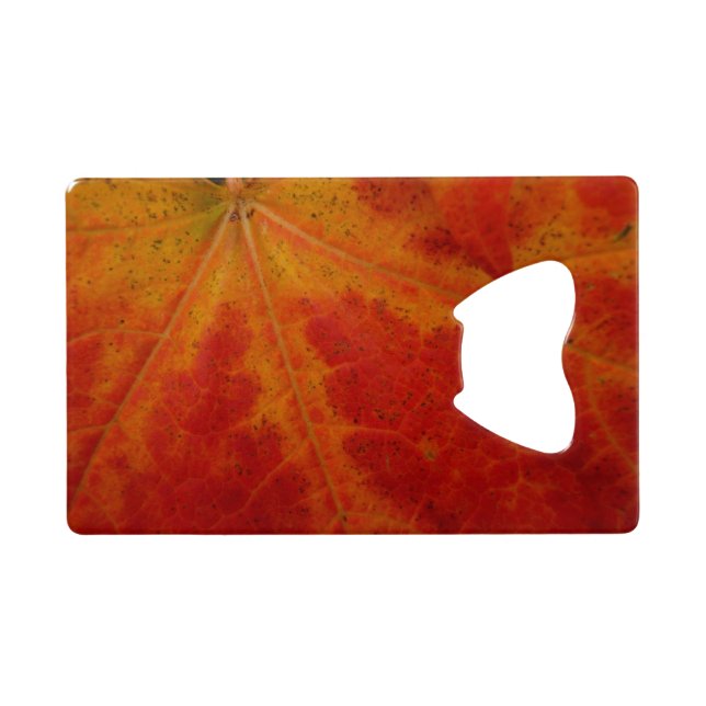 Feuille de Érable Rouge Photographie de Nature Abs (Dos Horizontal)
