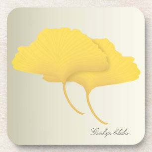 Feuille de Ginkgo dans des dessous de verre