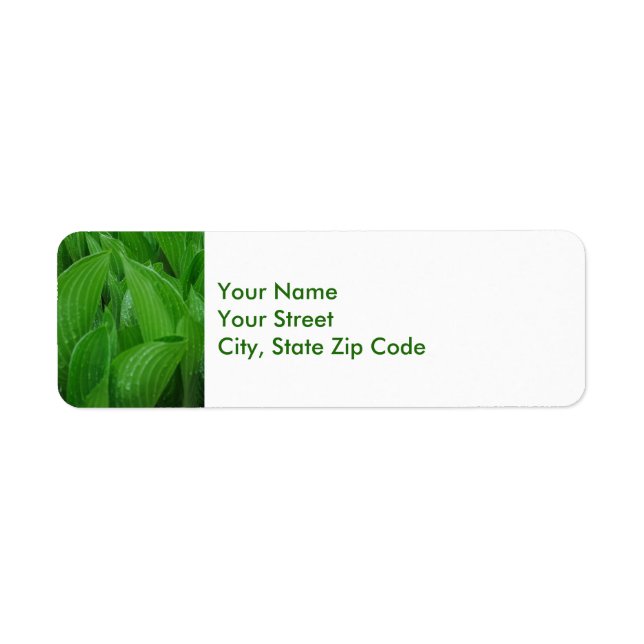 Feuille de Hosta avec les étiquettes de adresse de (Devant)