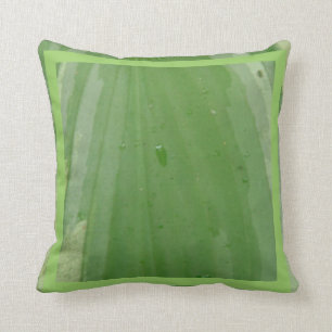 feuille de hosta, coussin vert presque solide