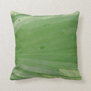 feuille de hosta, coussin vert presque solide