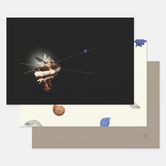 Feuille De Papier Cadeau 3 plage de coquillages de papillon unique Noël (Lot)