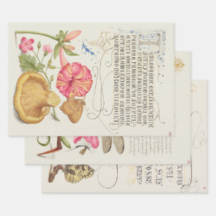 Feuille De Papier Cadeau 3 scènes de jardin vintage différentes Fleurs, Ins