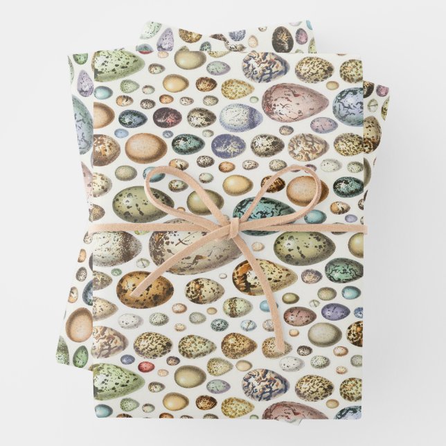 Feuille De Papier Cadeau Adolphe Millot Ouefs Oeufs (En situation)