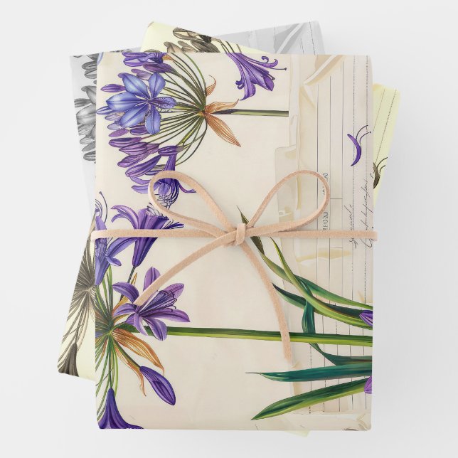 Feuille De Papier Cadeau Agapanthus flower Ephemera Collage Art (En situation)