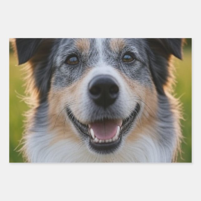 Feuille De Papier Cadeau Ajouter une Personnaliser photo pour animaux domes (Devant)