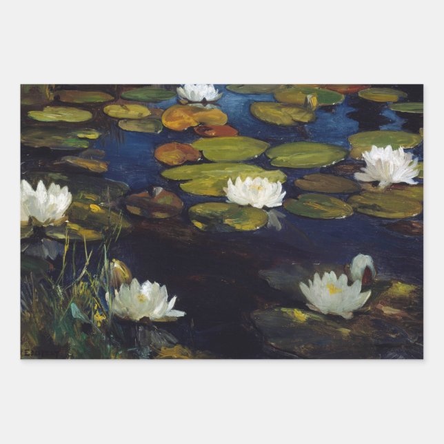 Feuille De Papier Cadeau Albert Edelfeue - Lys d'eau, étude (Devant)