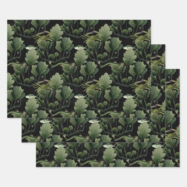 Feuille De Papier Cadeau Algues et poissons sur le noir (Lot)