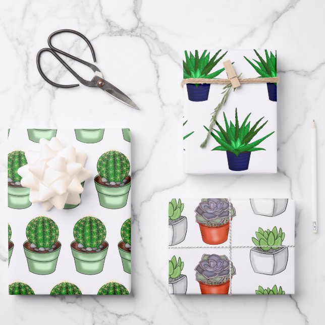 Feuille De Papier Cadeau Amateurs plantes Cactus dessinés à la main et succ (Recto)