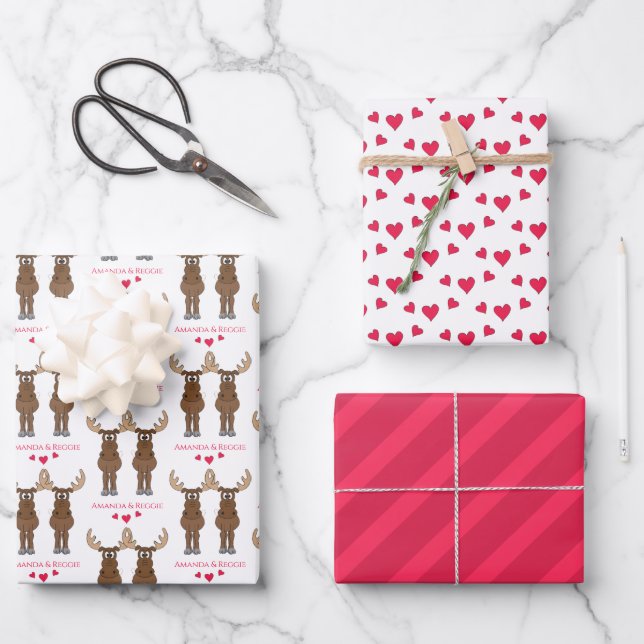 Feuille De Papier Cadeau Amusante fête Anniversaire mignonne orignal person (Recto)